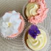 Classic Vanilla Cupcakes from YUM by Maryam